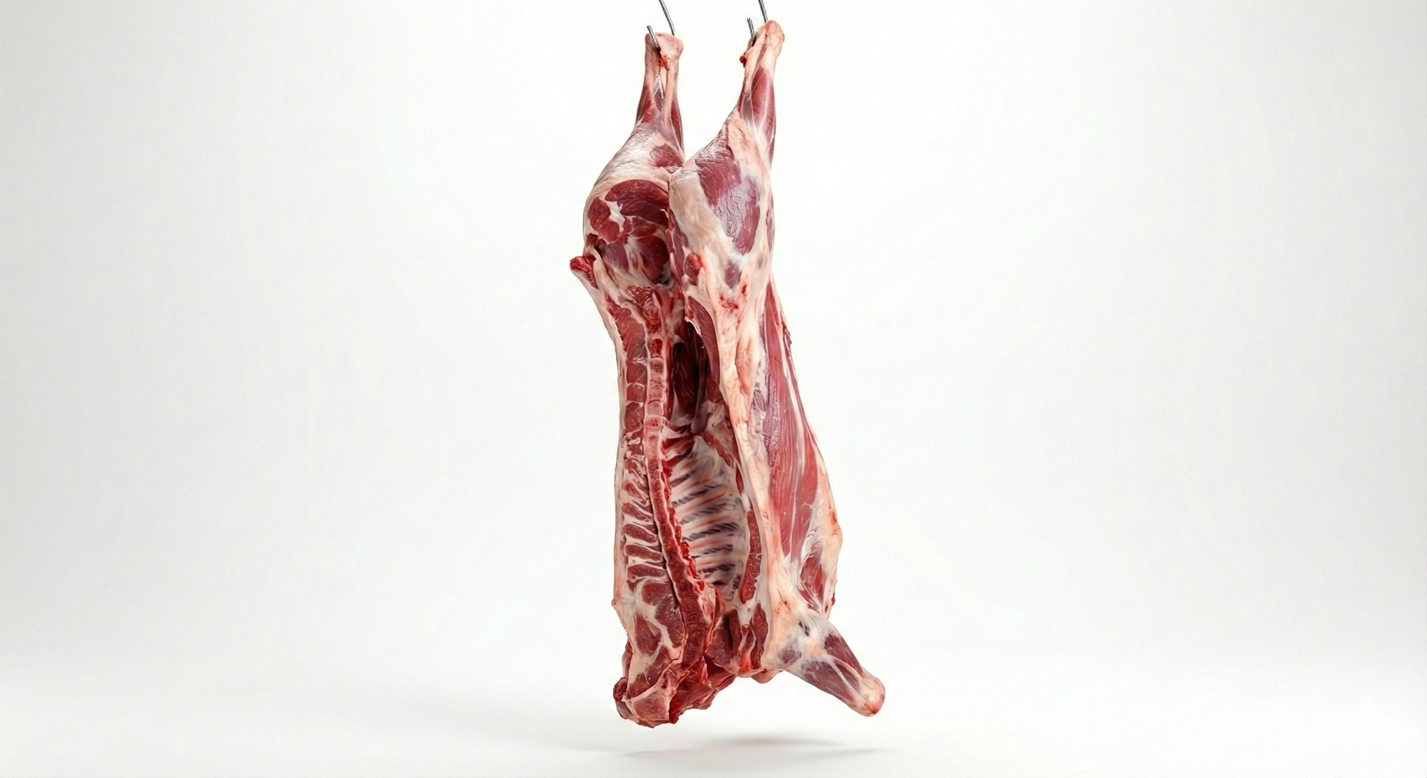 Beef Carcass